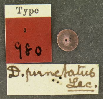Media type: image;   Entomology 980 Aspect: labels